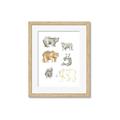 Picture of Bears _GroupedProduct_Rectangle_Portrait_Mini_ _GroupedProduct_Rectangle_Portrait_Framed_Matted_