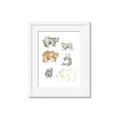 Picture of Bears _GroupedProduct_Rectangle_Portrait_Mini_ _GroupedProduct_Rectangle_Portrait_Framed_Matted_