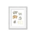 Picture of Bears _GroupedProduct_Rectangle_Portrait_Mini_ _GroupedProduct_Rectangle_Portrait_Framed_Matted_