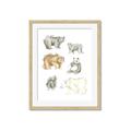 Picture of Bears _GroupedProduct_Rectangle_Portrait_Mini_ _GroupedProduct_Rectangle_Portrait_Framed_Matted_