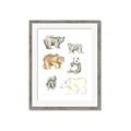 Picture of Bears _GroupedProduct_Rectangle_Portrait_Mini_ _GroupedProduct_Rectangle_Portrait_Framed_Matted_