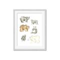 Picture of Bears _GroupedProduct_Rectangle_Portrait_Mini_ _GroupedProduct_Rectangle_Portrait_Framed_Matted_
