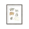 Picture of Bears _GroupedProduct_Rectangle_Portrait_Mini_ _GroupedProduct_Rectangle_Portrait_Framed_Matted_