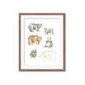 Picture of Bears _GroupedProduct_Rectangle_Portrait_Mini_ _GroupedProduct_Rectangle_Portrait_Framed_Matted_
