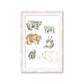 Picture of Bears _GroupedProduct_Rectangle_Portrait_Mini_ _GroupedProduct_Rectangle_Portrait_Framed_Matted_