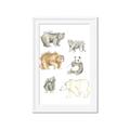 Picture of Bears _GroupedProduct_Rectangle_Portrait_Mini_ _GroupedProduct_Rectangle_Portrait_Framed_Matted_