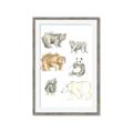 Picture of Bears _GroupedProduct_Rectangle_Portrait_Mini_ _GroupedProduct_Rectangle_Portrait_Framed_Matted_