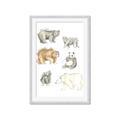 Picture of Bears _GroupedProduct_Rectangle_Portrait_Mini_ _GroupedProduct_Rectangle_Portrait_Framed_Matted_