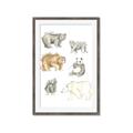 Picture of Bears _GroupedProduct_Rectangle_Portrait_Mini_ _GroupedProduct_Rectangle_Portrait_Framed_Matted_