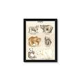 Picture of Bears Chart _GroupedProduct_Rectangle_Portrait_Mini_ _GroupedProduct_Rectangle_Portrait_Framed_Matted_