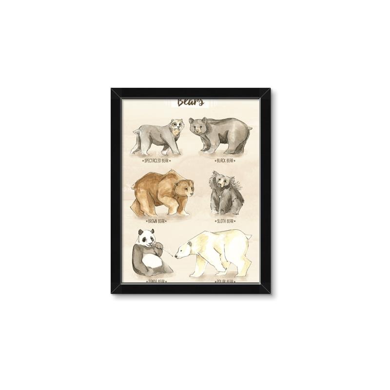 Picture of Bears Chart _GroupedProduct_Rectangle_Portrait_Mini_ _GroupedProduct_Rectangle_Portrait_Framed_Matted_