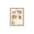 Picture of Bears Chart _GroupedProduct_Rectangle_Portrait_Mini_ _GroupedProduct_Rectangle_Portrait_Framed_Matted_