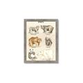 Picture of Bears Chart _GroupedProduct_Rectangle_Portrait_Mini_ _GroupedProduct_Rectangle_Portrait_Framed_Matted_
