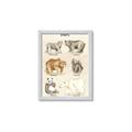 Picture of Bears Chart _GroupedProduct_Rectangle_Portrait_Mini_ _GroupedProduct_Rectangle_Portrait_Framed_Matted_