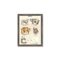 Picture of Bears Chart _GroupedProduct_Rectangle_Portrait_Mini_ _GroupedProduct_Rectangle_Portrait_Framed_Matted_