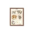 Picture of Bears Chart _GroupedProduct_Rectangle_Portrait_Mini_ _GroupedProduct_Rectangle_Portrait_Framed_Matted_
