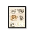Picture of Bears Chart _GroupedProduct_Rectangle_Portrait_Mini_ _GroupedProduct_Rectangle_Portrait_Framed_Matted_