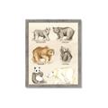 Picture of Bears Chart _GroupedProduct_Rectangle_Portrait_Mini_ _GroupedProduct_Rectangle_Portrait_Framed_Matted_
