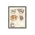 Picture of Bears Chart _GroupedProduct_Rectangle_Portrait_Mini_ _GroupedProduct_Rectangle_Portrait_Framed_Matted_