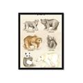 Picture of Bears Chart _GroupedProduct_Rectangle_Portrait_Mini_ _GroupedProduct_Rectangle_Portrait_Framed_Matted_