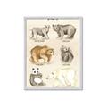 Picture of Bears Chart _GroupedProduct_Rectangle_Portrait_Mini_ _GroupedProduct_Rectangle_Portrait_Framed_Matted_
