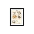 Picture of Bears Chart _GroupedProduct_Rectangle_Portrait_Mini_ _GroupedProduct_Rectangle_Portrait_Framed_Matted_