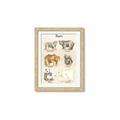 Picture of Bears Chart _GroupedProduct_Rectangle_Portrait_Mini_ _GroupedProduct_Rectangle_Portrait_Framed_Matted_