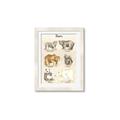 Picture of Bears Chart _GroupedProduct_Rectangle_Portrait_Mini_ _GroupedProduct_Rectangle_Portrait_Framed_Matted_