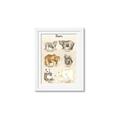 Picture of Bears Chart _GroupedProduct_Rectangle_Portrait_Mini_ _GroupedProduct_Rectangle_Portrait_Framed_Matted_
