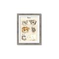 Picture of Bears Chart _GroupedProduct_Rectangle_Portrait_Mini_ _GroupedProduct_Rectangle_Portrait_Framed_Matted_
