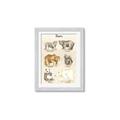 Picture of Bears Chart _GroupedProduct_Rectangle_Portrait_Mini_ _GroupedProduct_Rectangle_Portrait_Framed_Matted_