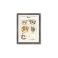 Picture of Bears Chart _GroupedProduct_Rectangle_Portrait_Mini_ _GroupedProduct_Rectangle_Portrait_Framed_Matted_