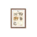 Picture of Bears Chart _GroupedProduct_Rectangle_Portrait_Mini_ _GroupedProduct_Rectangle_Portrait_Framed_Matted_