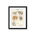 Picture of Bears Chart _GroupedProduct_Rectangle_Portrait_Mini_ _GroupedProduct_Rectangle_Portrait_Framed_Matted_
