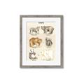 Picture of Bears Chart _GroupedProduct_Rectangle_Portrait_Mini_ _GroupedProduct_Rectangle_Portrait_Framed_Matted_