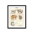 Picture of Bears Chart _GroupedProduct_Rectangle_Portrait_Mini_ _GroupedProduct_Rectangle_Portrait_Framed_Matted_