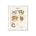 Picture of Bears Chart _GroupedProduct_Rectangle_Portrait_Mini_ _GroupedProduct_Rectangle_Portrait_Framed_Matted_