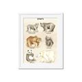 Picture of Bears Chart _GroupedProduct_Rectangle_Portrait_Mini_ _GroupedProduct_Rectangle_Portrait_Framed_Matted_