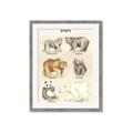 Picture of Bears Chart _GroupedProduct_Rectangle_Portrait_Mini_ _GroupedProduct_Rectangle_Portrait_Framed_Matted_