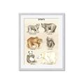 Picture of Bears Chart _GroupedProduct_Rectangle_Portrait_Mini_ _GroupedProduct_Rectangle_Portrait_Framed_Matted_