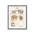 Picture of Bears Chart _GroupedProduct_Rectangle_Portrait_Mini_ _GroupedProduct_Rectangle_Portrait_Framed_Matted_