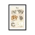 Picture of Bears Chart _GroupedProduct_Rectangle_Portrait_Mini_ _GroupedProduct_Rectangle_Portrait_Framed_Matted_