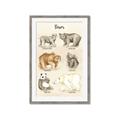 Picture of Bears Chart _GroupedProduct_Rectangle_Portrait_Mini_ _GroupedProduct_Rectangle_Portrait_Framed_Matted_