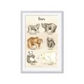 Picture of Bears Chart _GroupedProduct_Rectangle_Portrait_Mini_ _GroupedProduct_Rectangle_Portrait_Framed_Matted_
