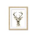 Picture of Baby Deer with Short Tie _GroupedProduct_Rectangle_Portrait_Mini_ _GroupedProduct_Rectangle_Portrait_Framed_Matted_
