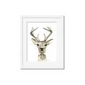 Picture of Baby Deer with Short Tie _GroupedProduct_Rectangle_Portrait_Mini_ _GroupedProduct_Rectangle_Portrait_Framed_Matted_