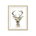 Picture of Baby Deer with Short Tie _GroupedProduct_Rectangle_Portrait_Mini_ _GroupedProduct_Rectangle_Portrait_Framed_Matted_