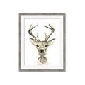 Picture of Baby Deer with Short Tie _GroupedProduct_Rectangle_Portrait_Mini_ _GroupedProduct_Rectangle_Portrait_Framed_Matted_