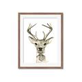 Picture of Baby Deer with Short Tie _GroupedProduct_Rectangle_Portrait_Mini_ _GroupedProduct_Rectangle_Portrait_Framed_Matted_