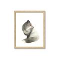 Picture of Brown Fox _GroupedProduct_Rectangle_Portrait_Mini_ _GroupedProduct_Rectangle_Portrait_Framed_Matted_